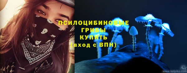 apvp Бородино