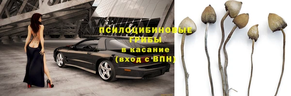 соль ск Верхний Тагил