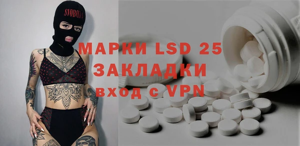 apvp Бородино