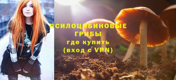 apvp Бородино