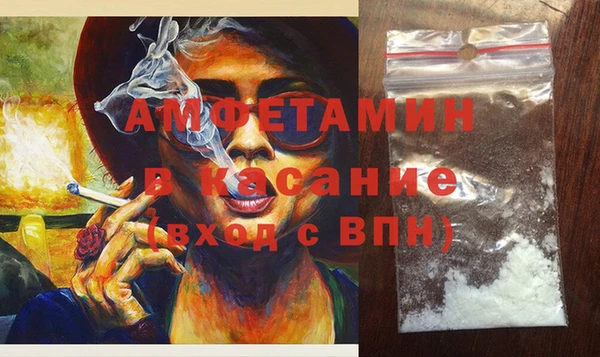 крисы Бронницы