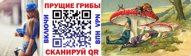 дарк нет телеграм  Магас  Галлюциногенные грибы ЛСД 